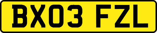 BX03FZL