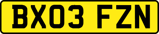 BX03FZN