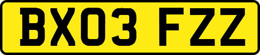 BX03FZZ