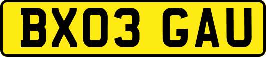 BX03GAU