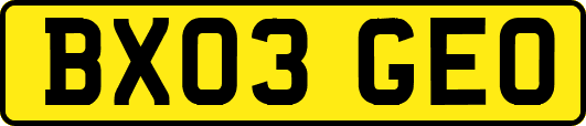 BX03GEO