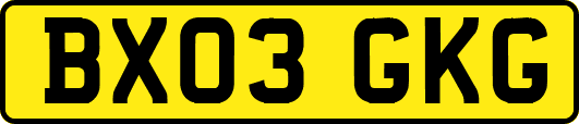BX03GKG