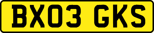 BX03GKS