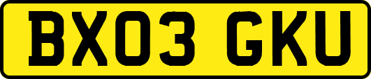BX03GKU
