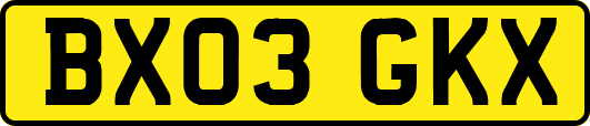 BX03GKX