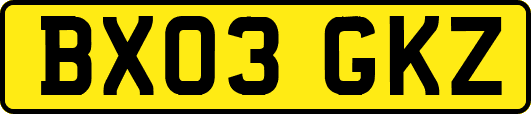 BX03GKZ
