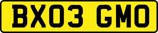 BX03GMO