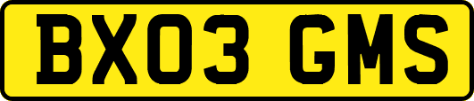 BX03GMS