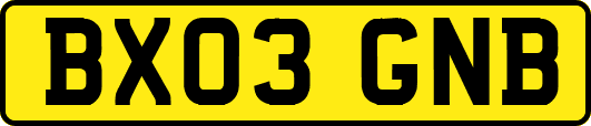 BX03GNB