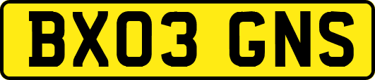 BX03GNS