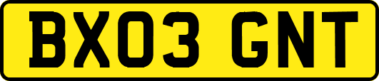 BX03GNT