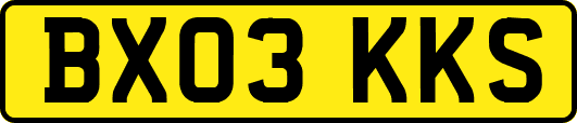 BX03KKS