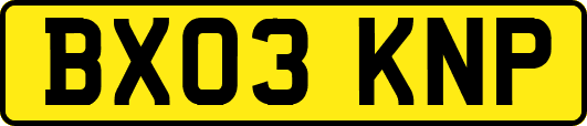 BX03KNP