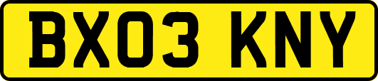 BX03KNY