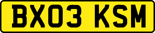 BX03KSM