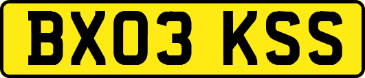BX03KSS