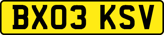 BX03KSV