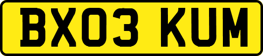 BX03KUM