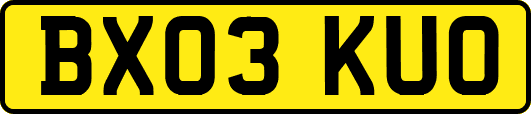BX03KUO