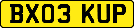 BX03KUP