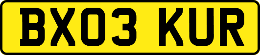BX03KUR