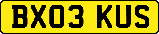 BX03KUS
