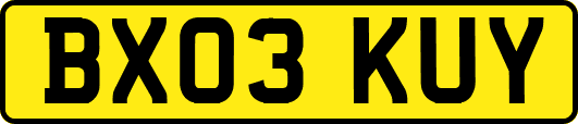 BX03KUY