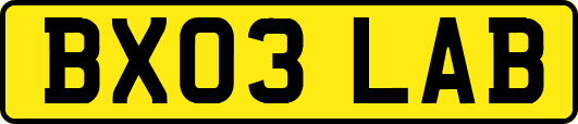 BX03LAB