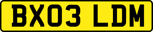 BX03LDM