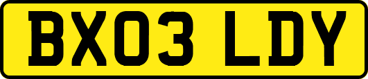 BX03LDY