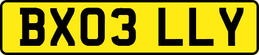 BX03LLY