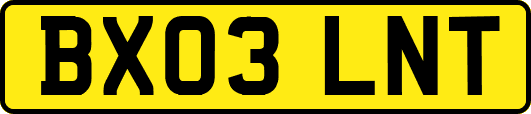 BX03LNT