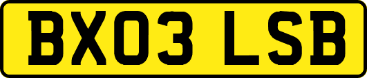 BX03LSB