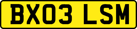 BX03LSM
