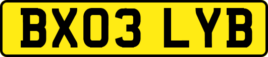 BX03LYB