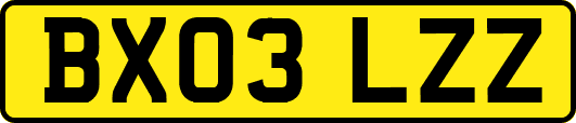 BX03LZZ