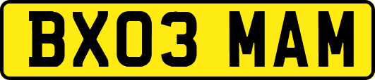 BX03MAM