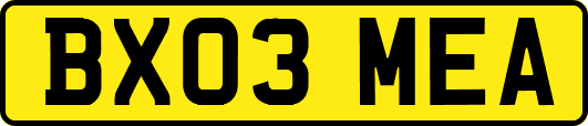 BX03MEA