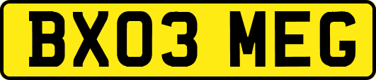 BX03MEG