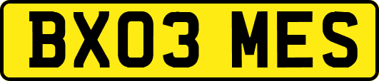 BX03MES