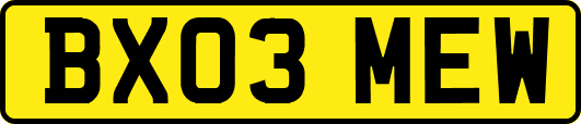 BX03MEW