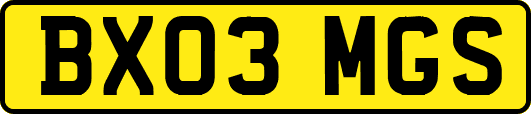BX03MGS