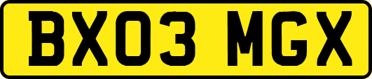 BX03MGX