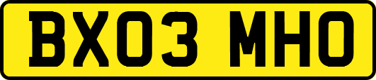 BX03MHO