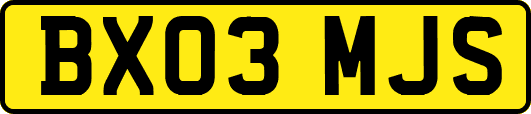 BX03MJS