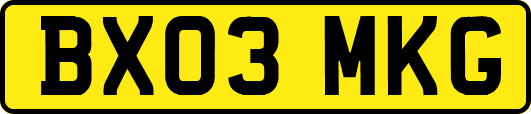 BX03MKG