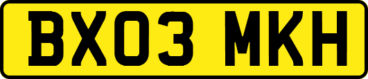 BX03MKH