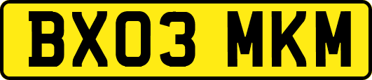 BX03MKM