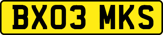 BX03MKS