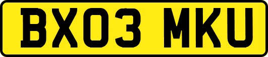 BX03MKU